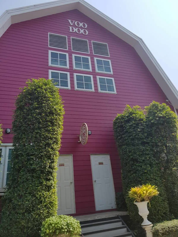 小资生活 天意集团  VOODOO